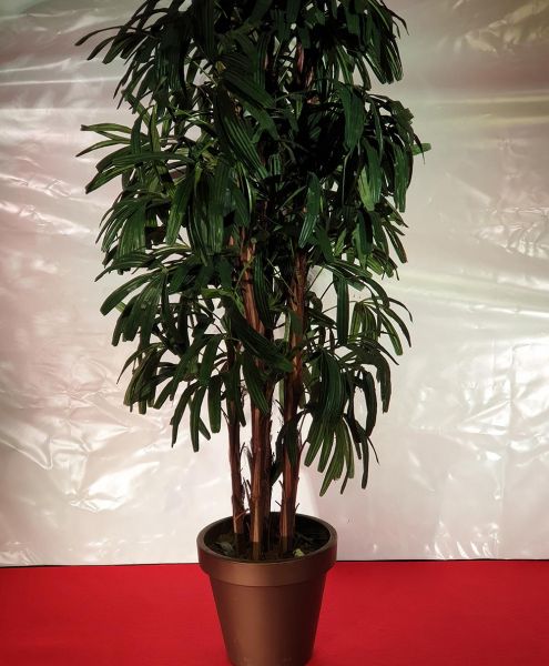 Bambus Baum 220cm